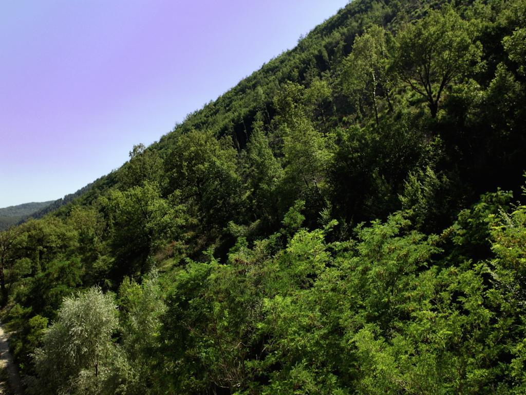 Euro Pieve Santo Stefano