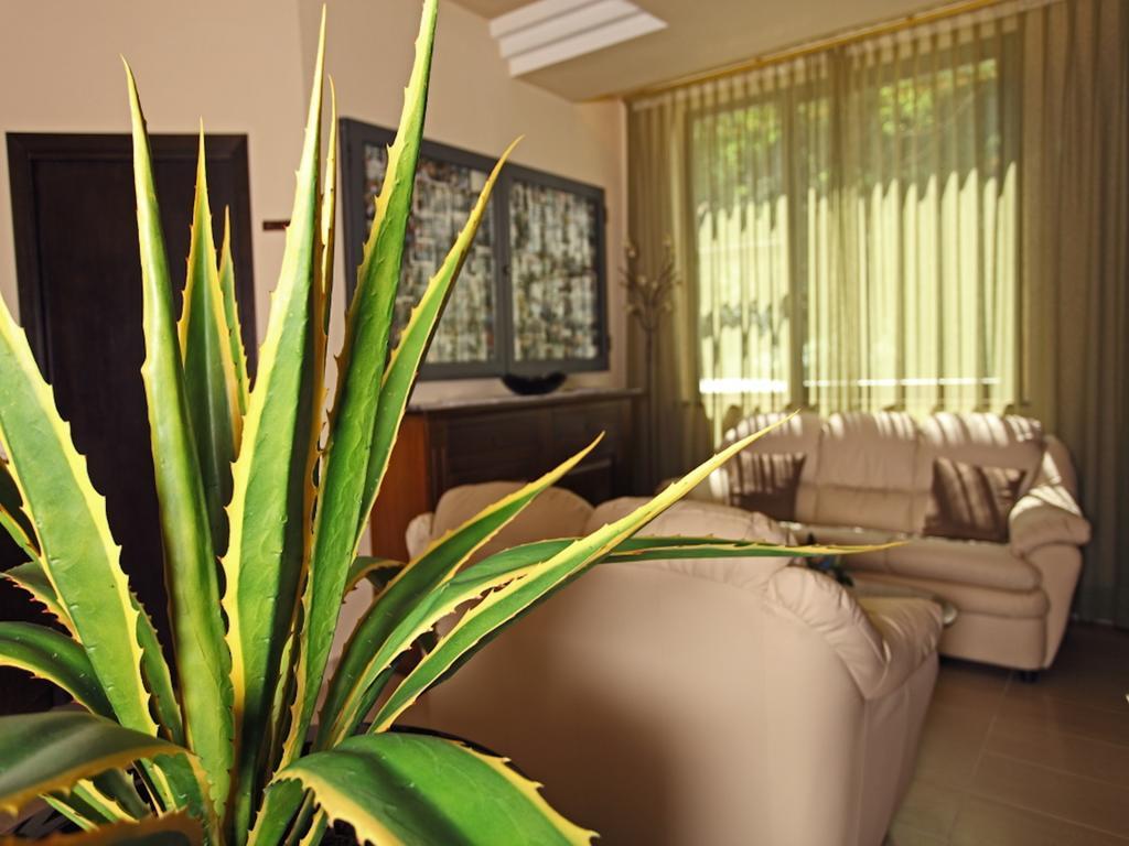 Hotel Euro Pieve Santo Stefano